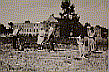 1953میں باغبانی کا علاج