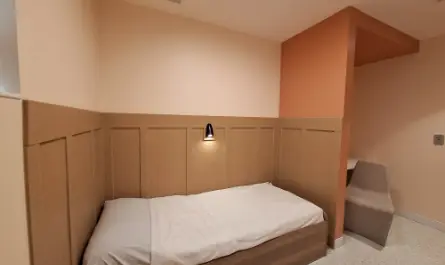 کرائسس اسٹیبلائزیشن یونٹ